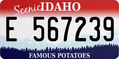 ID license plate E567239