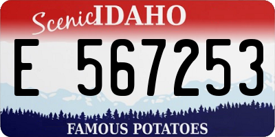 ID license plate E567253