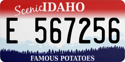 ID license plate E567256
