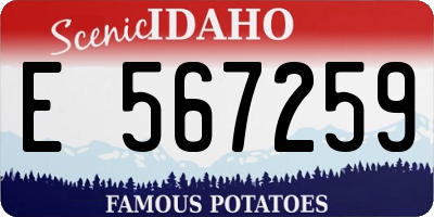 ID license plate E567259