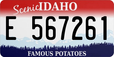 ID license plate E567261
