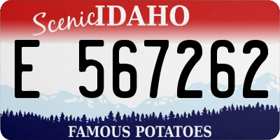 ID license plate E567262