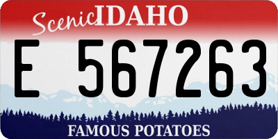 ID license plate E567263