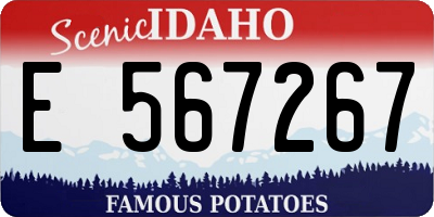 ID license plate E567267
