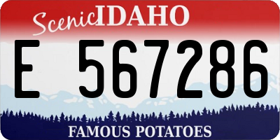 ID license plate E567286