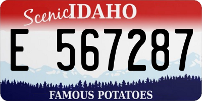 ID license plate E567287