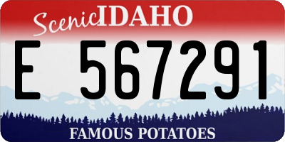 ID license plate E567291
