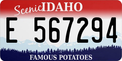 ID license plate E567294