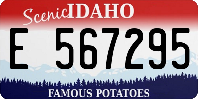 ID license plate E567295