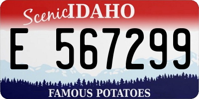 ID license plate E567299
