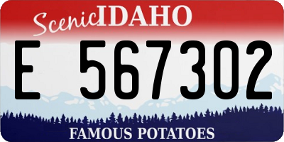 ID license plate E567302