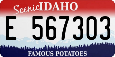 ID license plate E567303