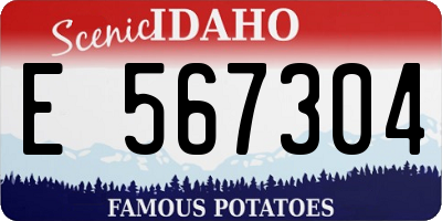 ID license plate E567304