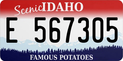 ID license plate E567305