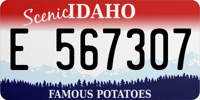 ID license plate E567307