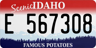 ID license plate E567308