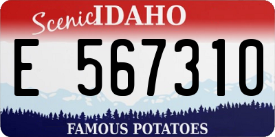 ID license plate E567310