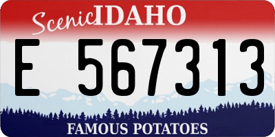 ID license plate E567313