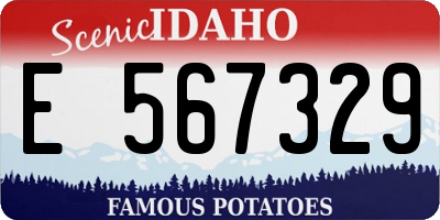 ID license plate E567329