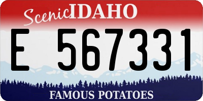 ID license plate E567331