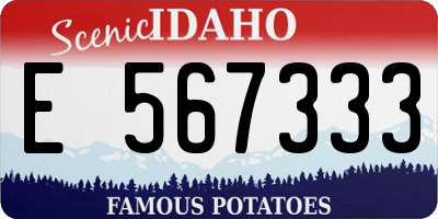 ID license plate E567333