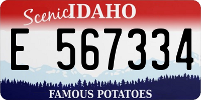 ID license plate E567334