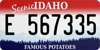 ID license plate E567335