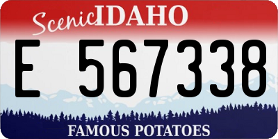 ID license plate E567338