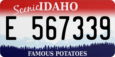 ID license plate E567339