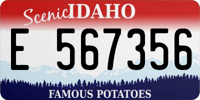 ID license plate E567356
