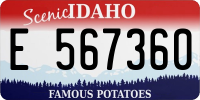 ID license plate E567360