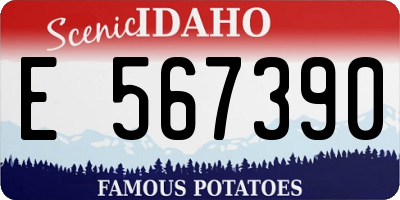 ID license plate E567390