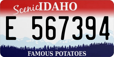 ID license plate E567394