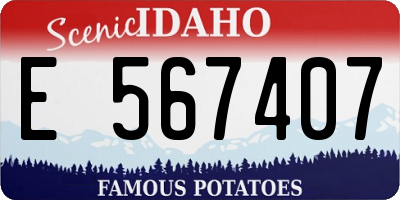 ID license plate E567407
