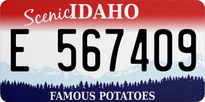 ID license plate E567409