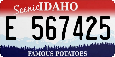 ID license plate E567425