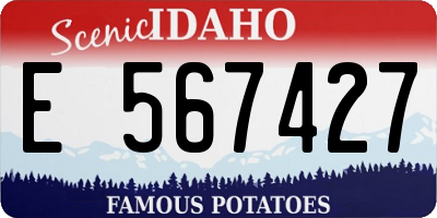 ID license plate E567427