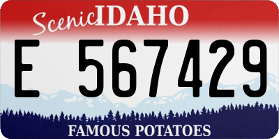 ID license plate E567429