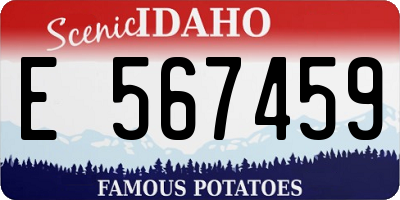ID license plate E567459