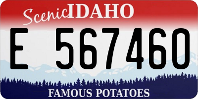 ID license plate E567460