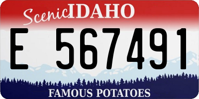 ID license plate E567491