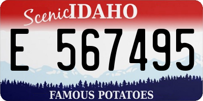 ID license plate E567495