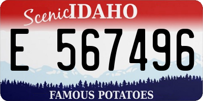 ID license plate E567496