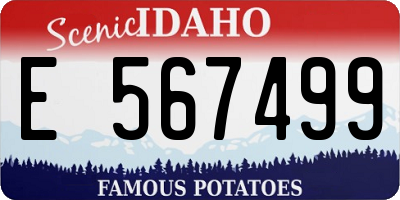 ID license plate E567499