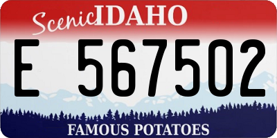 ID license plate E567502