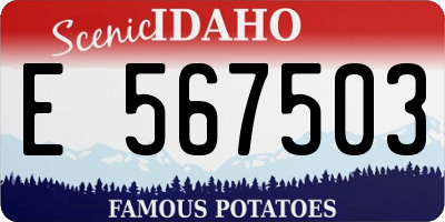 ID license plate E567503