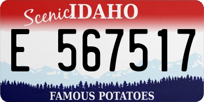 ID license plate E567517
