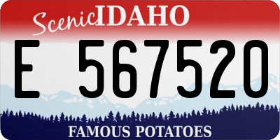 ID license plate E567520