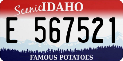 ID license plate E567521