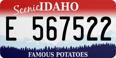 ID license plate E567522